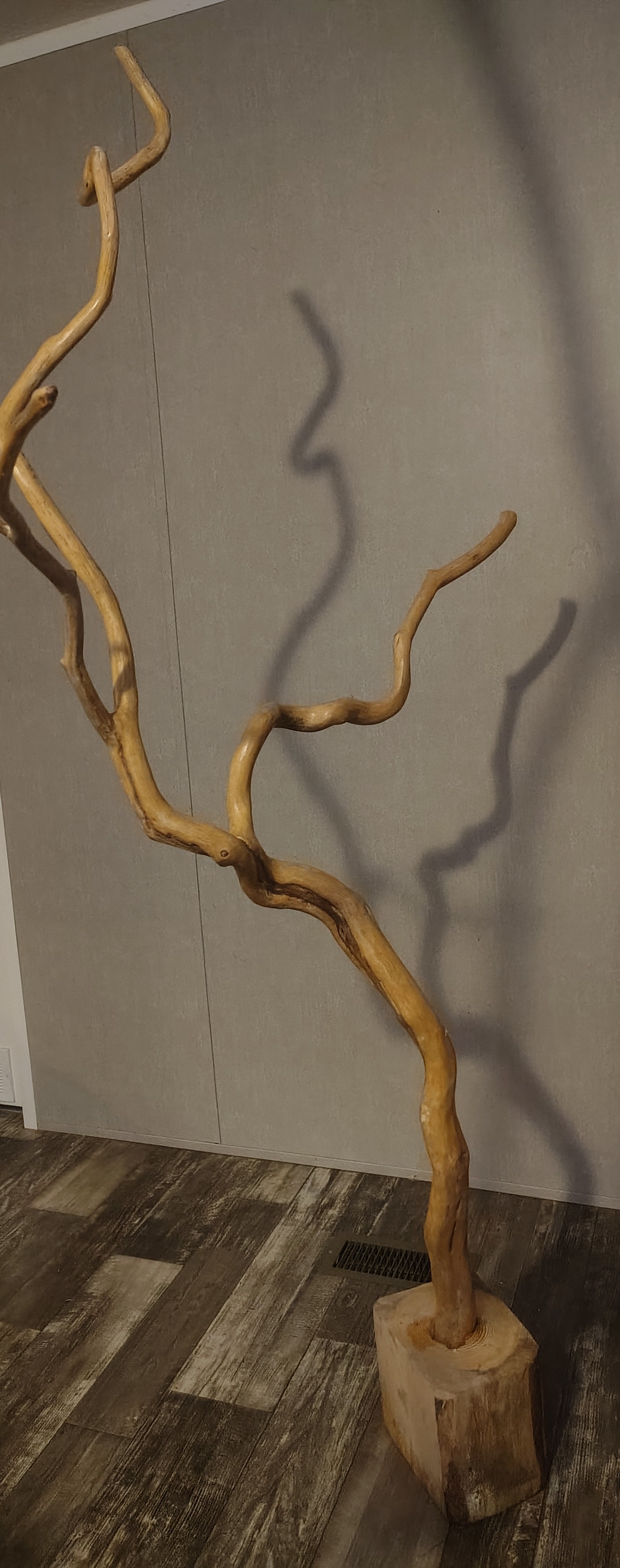 back side of indoor tree art